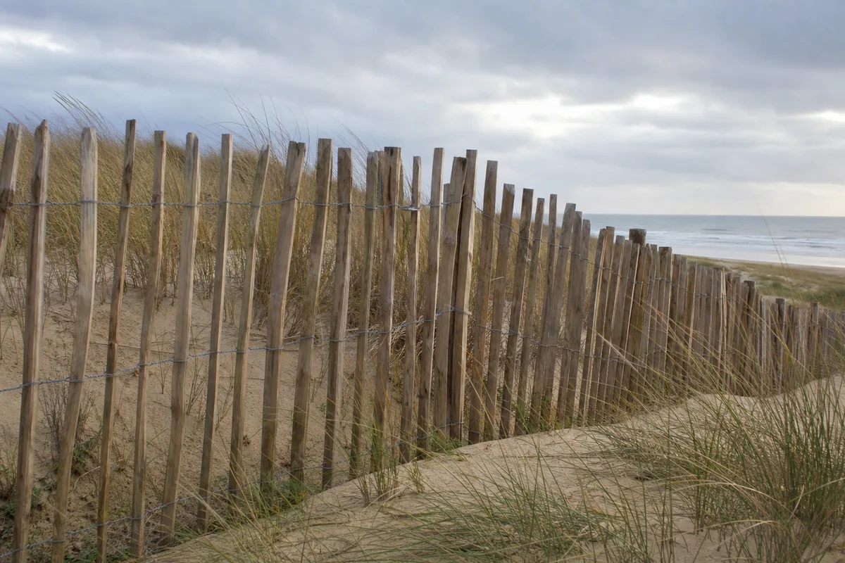 Ganivelle en châtaignier bordant une dune du littoral vendéen
